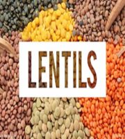 Lentils/Daals