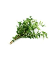 fresh-curry-leaves
